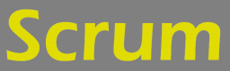 Scrum Training in Tunisia