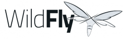 Wildfly Training in Tunisia
